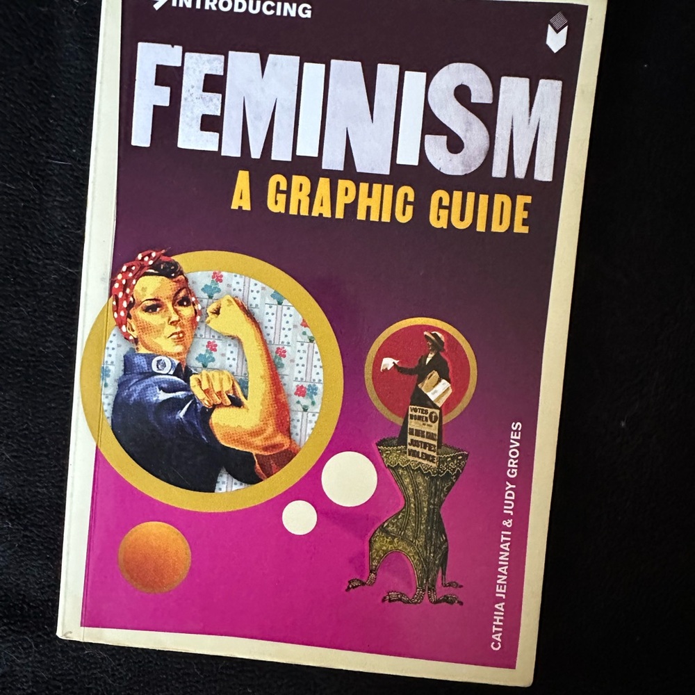 Feminism: A Graphic Guide Book